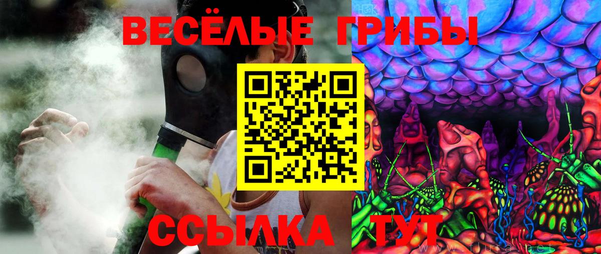 Галлюциногенные грибы MAGIC MUSHROOMS Бутурлиновка